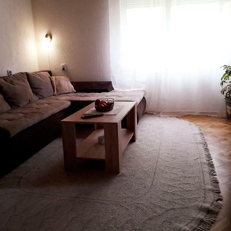 Potkrovlje Vrsac Ngoại thất bức ảnh